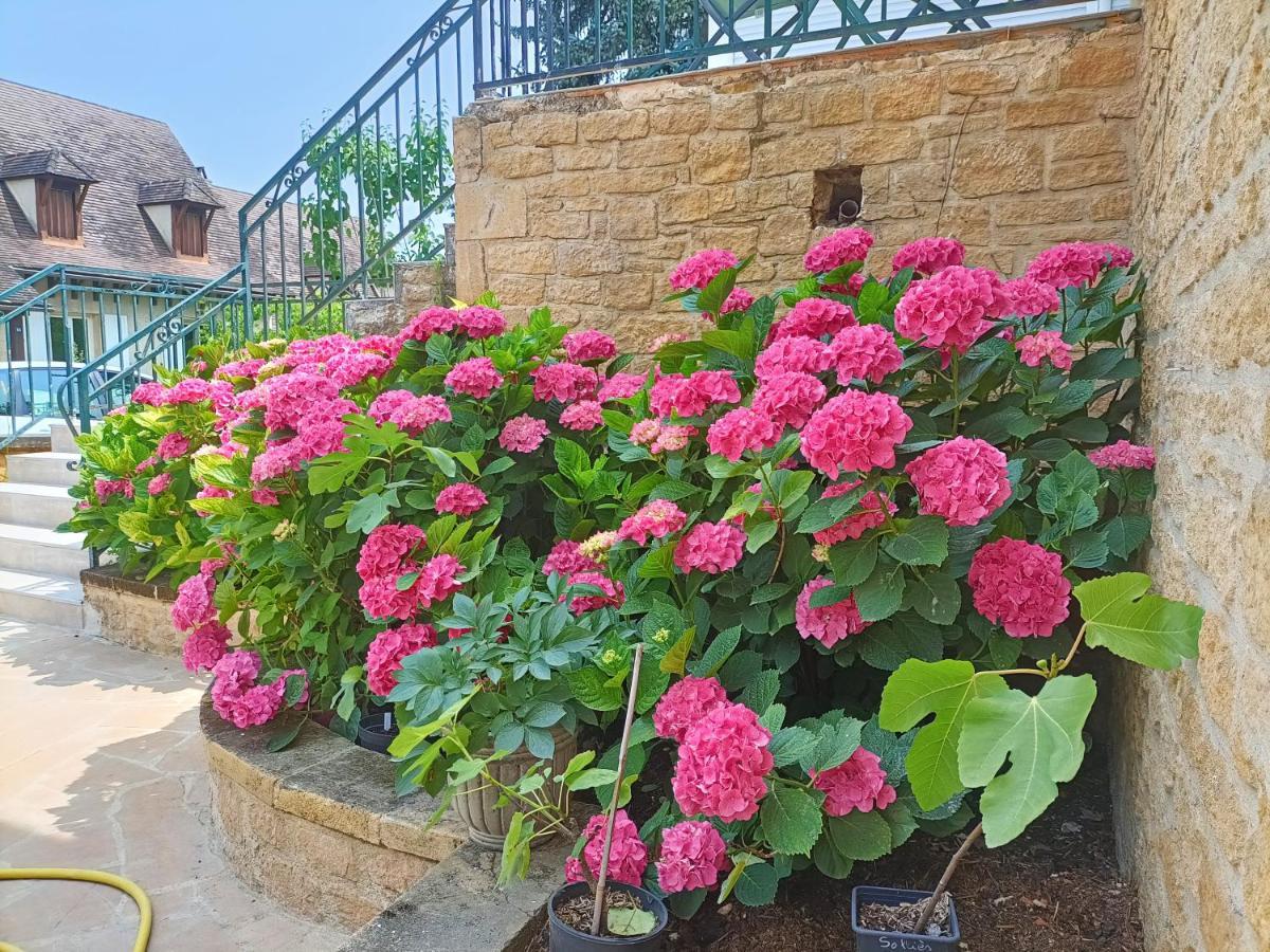 La Villa Perigourdine Sarlat-la-Caneda Luaran gambar
